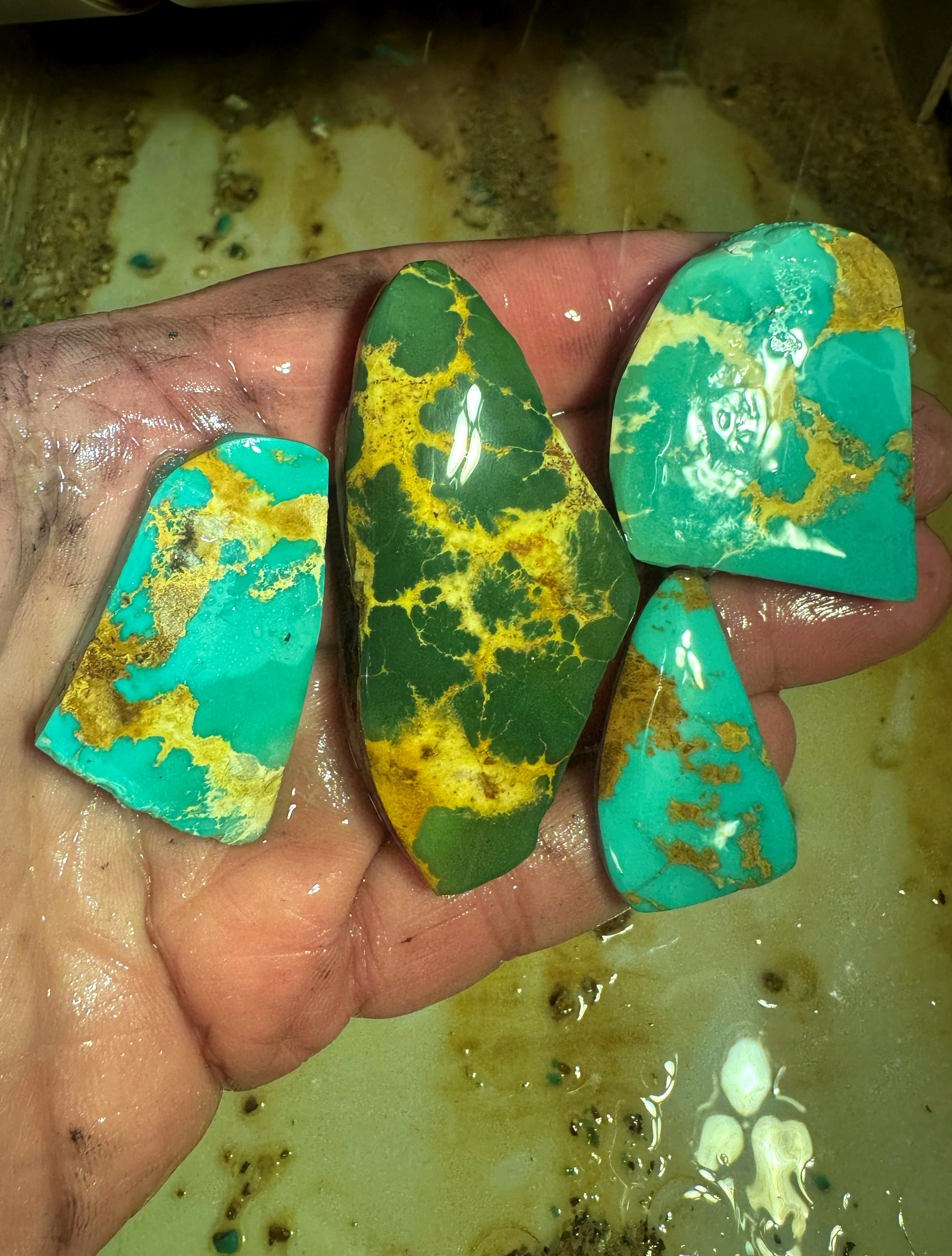 Freshly cut cabochons resting in the maker’s hand