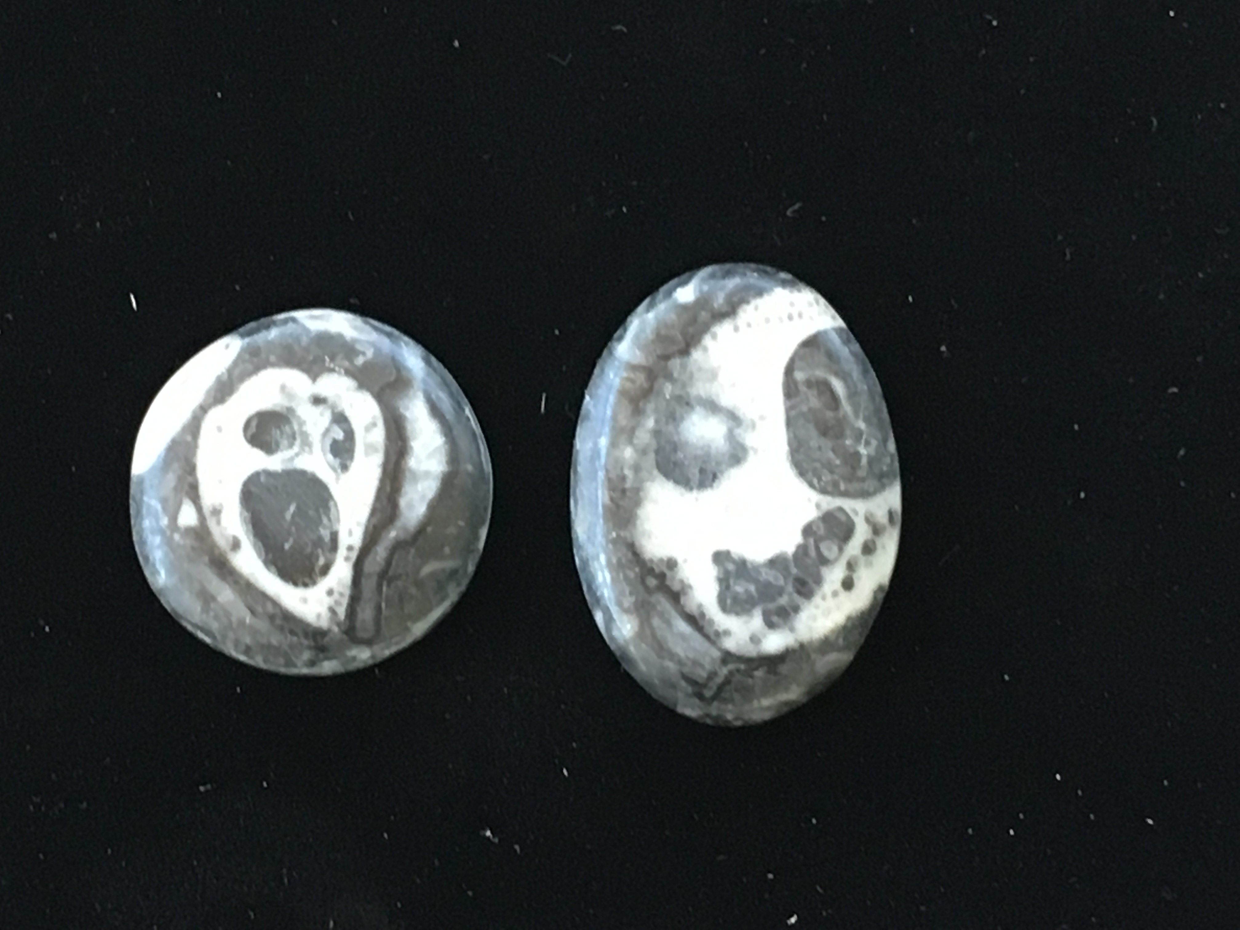 Two fossilized-shell picture stones named The Scream and The Jackal